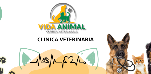 476146904_1053589140116470_6672534895012029507_n