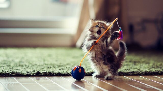 476170721_1167309131758255_4945892427977164362_n