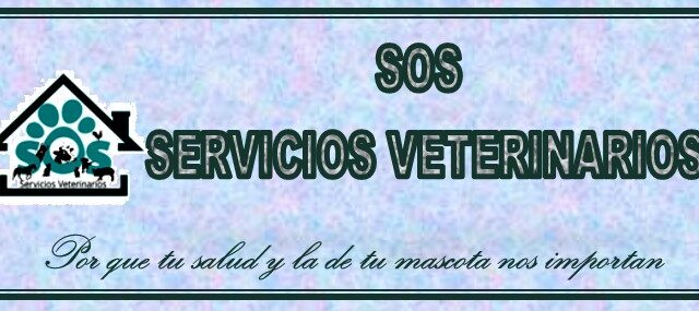 476239792_1137336688045362_3499720424876073546_n