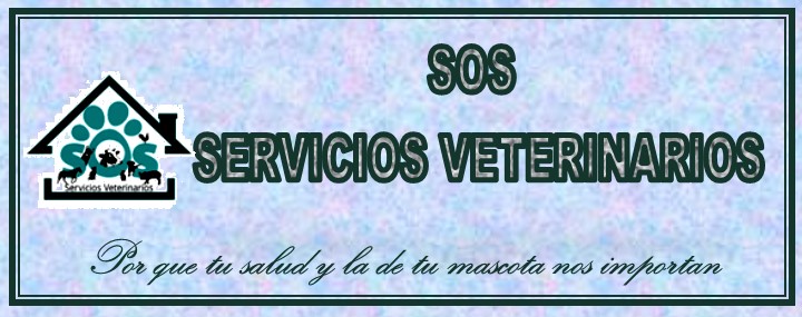 476239792_1137336688045362_3499720424876073546_n