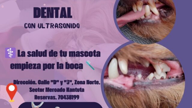 476426306_122225090876024188_7149998183195210089_n