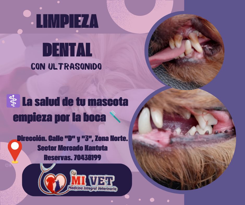 476426306_122225090876024188_7149998183195210089_n