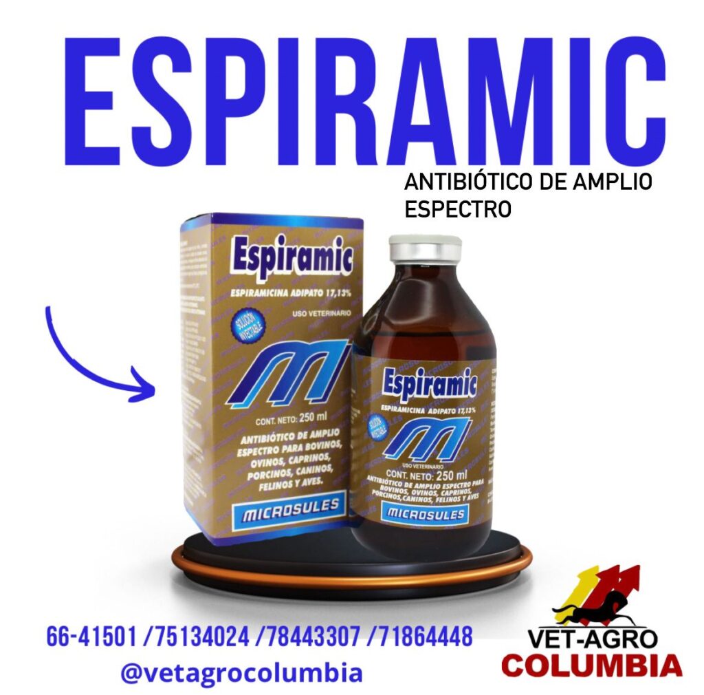 476924560_1146743383818798_8932208602516695381_n