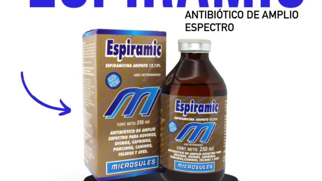 476924560_1146743383818798_8932208602516695381_n