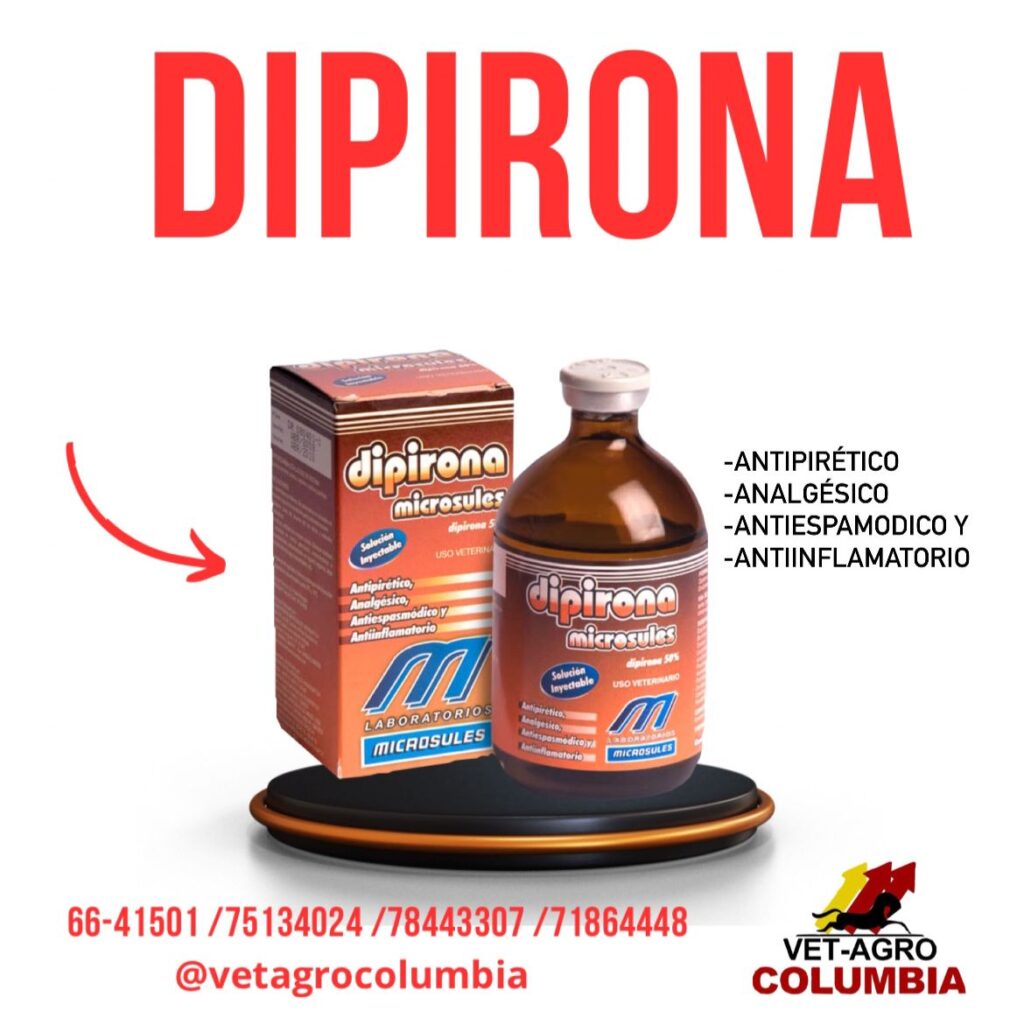 477440874_1146743307152139_6221619663053464910_n