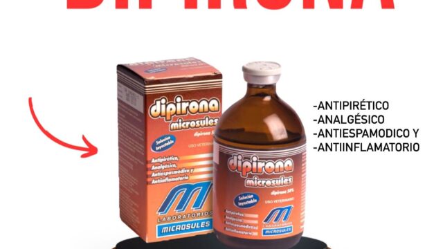 477440874_1146743307152139_6221619663053464910_n