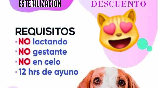 477705088_649083974314657_5002997954236765010_n