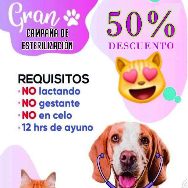 477705088_649083974314657_5002997954236765010_n