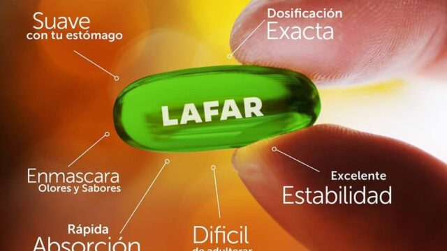 477853354_594129986933183_2859069835184602322_n