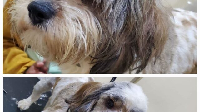 478141993_1362366681447292_8263589426579736251_n