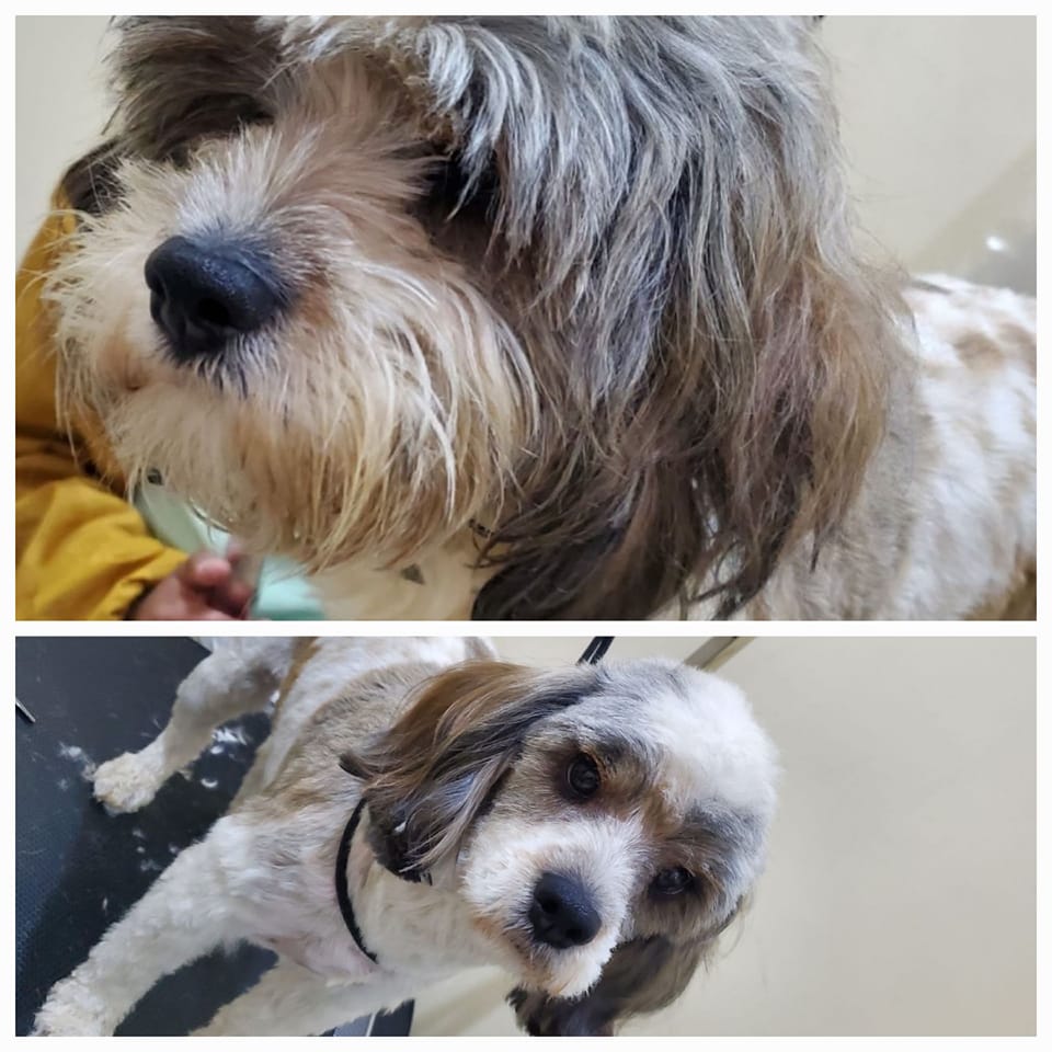 478141993_1362366681447292_8263589426579736251_n