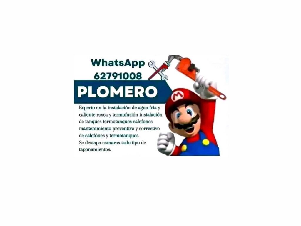 Plomero Experto