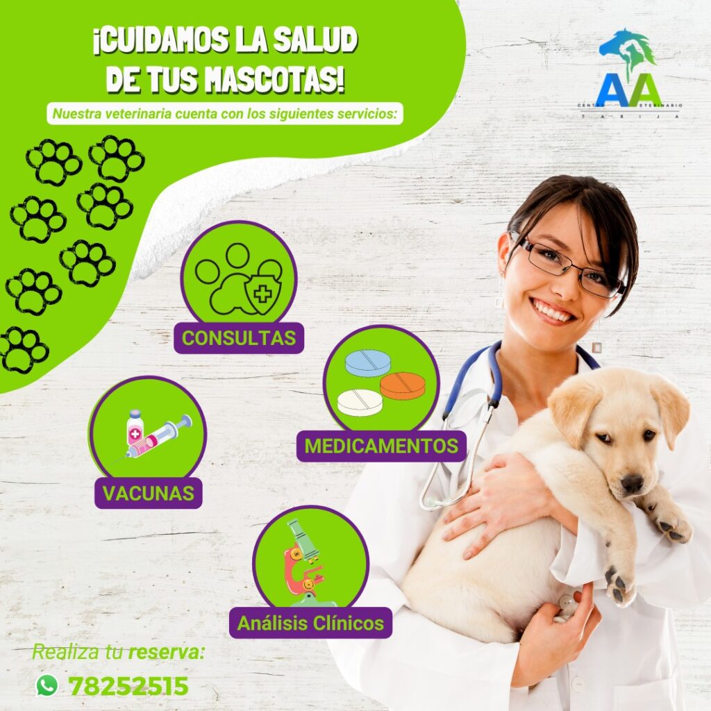 480704409_4122688411292379_8430558105346249247_n