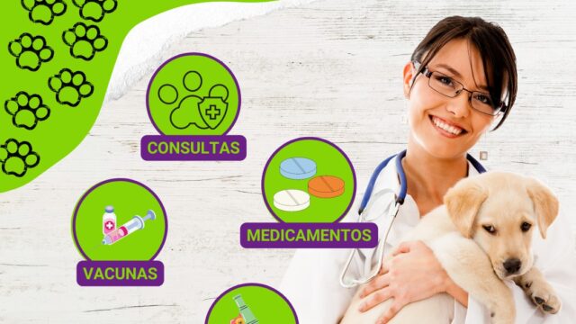 480704409_4122688411292379_8430558105346249247_n