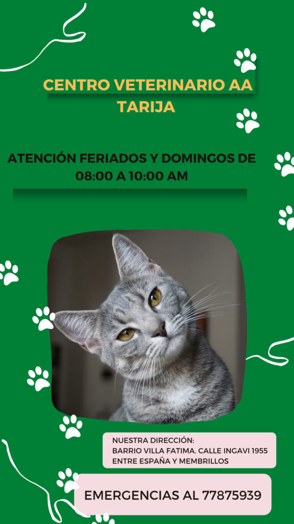 480917257_4121891998038687_5056668206345829123_n