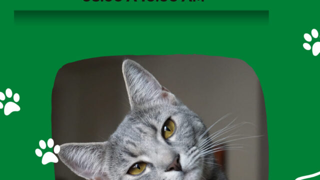 480917257_4121891998038687_5056668206345829123_n