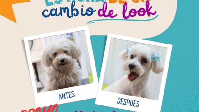 481167105_926933459653451_8301996264289493664_n