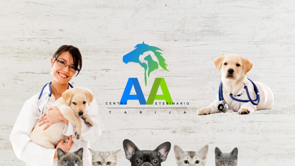 481245526_4121571471404073_8099657280882231664_n