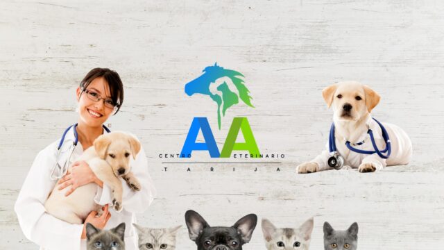 481245526_4121571471404073_8099657280882231664_n