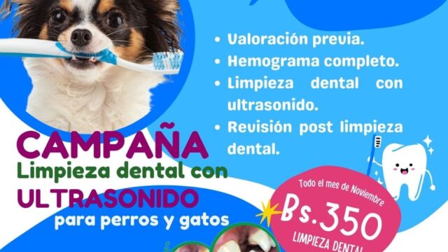 482000796_928695469477250_4257854814695344212_n