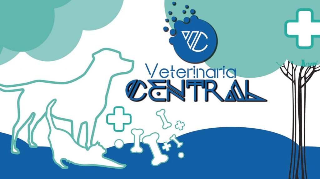 482002759_1202687241862474_2016810676711424397_n