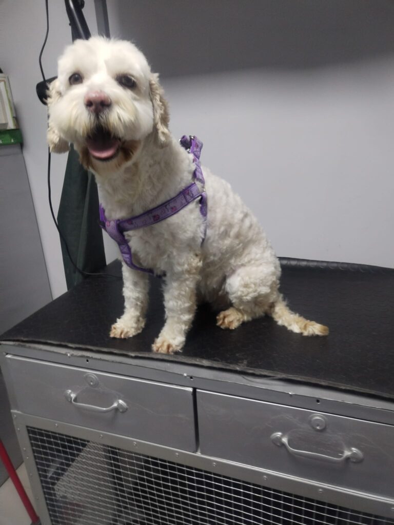 482218278_630706543254412_6901460847520096758_n