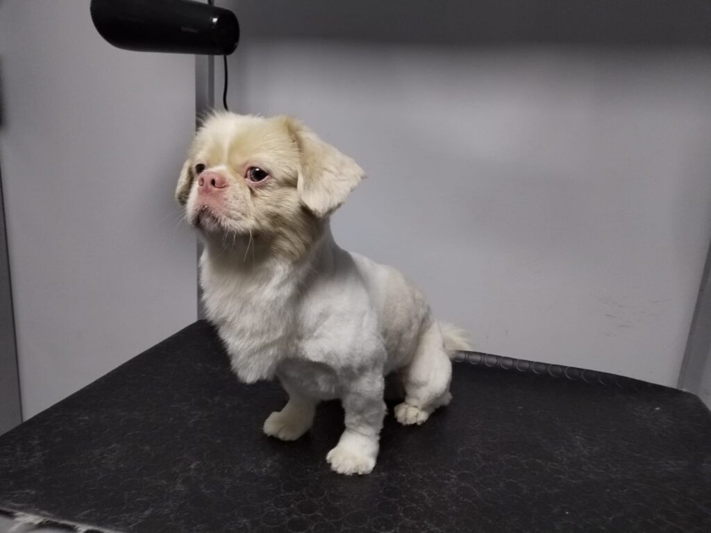 482233337_630706436587756_5374430828557718645_n