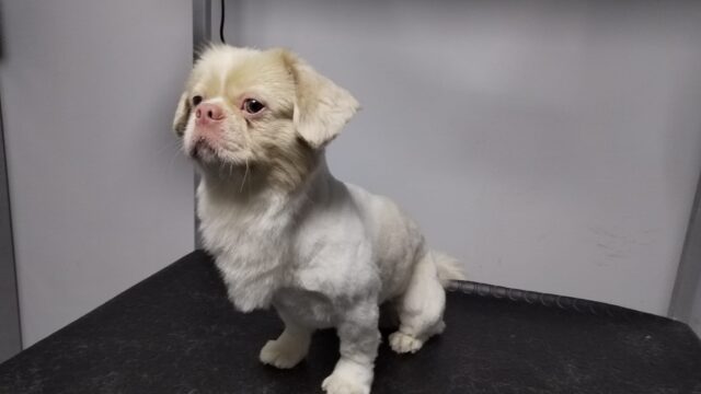 482233337_630706436587756_5374430828557718645_n