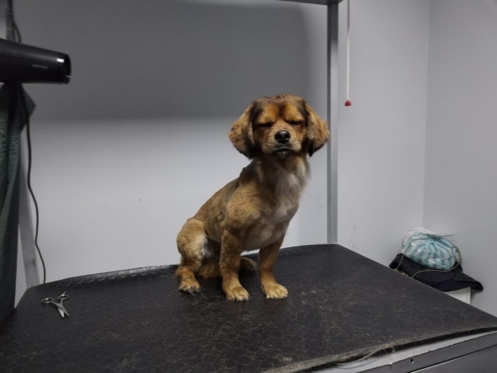 482242759_630706396587760_5811522875515401043_n