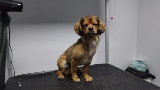 482242759_630706396587760_5811522875515401043_n