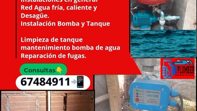 482978635_1317500489410167_7362677159362413181_n