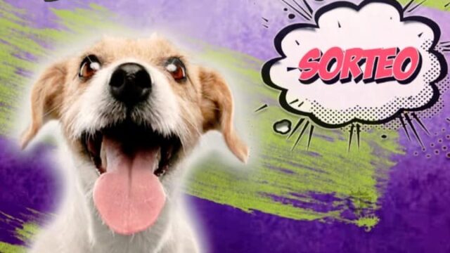 483366016_1336500877422342_5829142235926634879_n