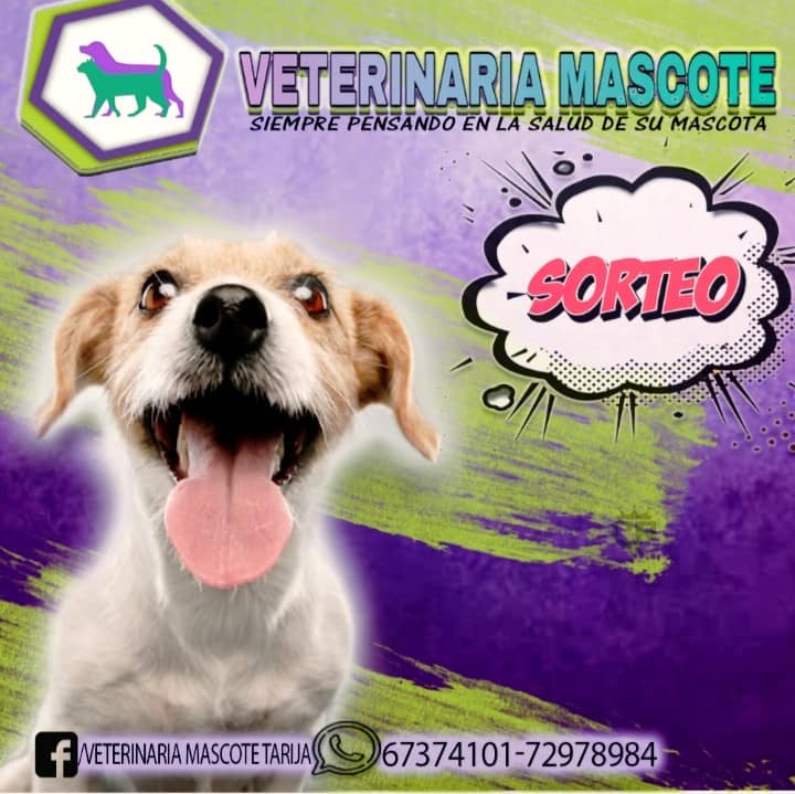 483366016_1336500877422342_5829142235926634879_n