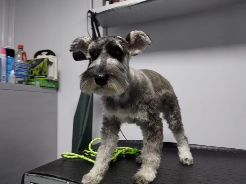 484807412_630706156587784_4027257282837913239_n