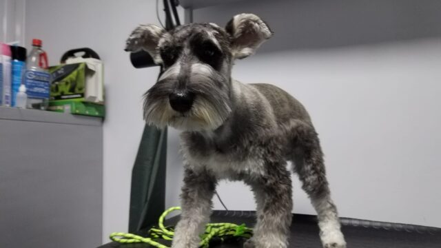 484807412_630706156587784_4027257282837913239_n