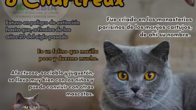 485026671_1575731030026145_7058708594146549427_n