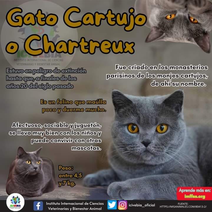 485026671_1575731030026145_7058708594146549427_n