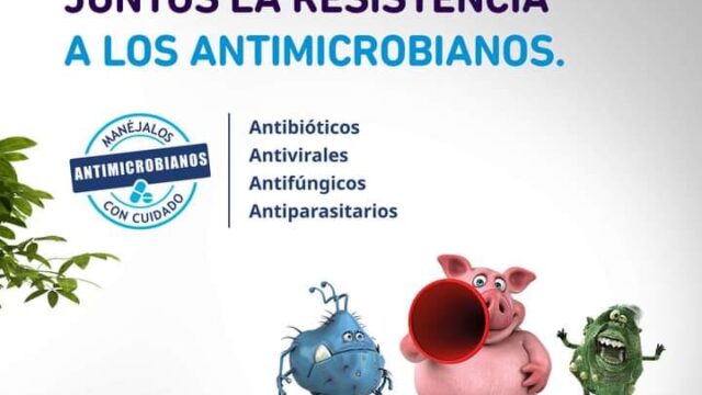 485054350_1573892386876676_7260869553279052654_n