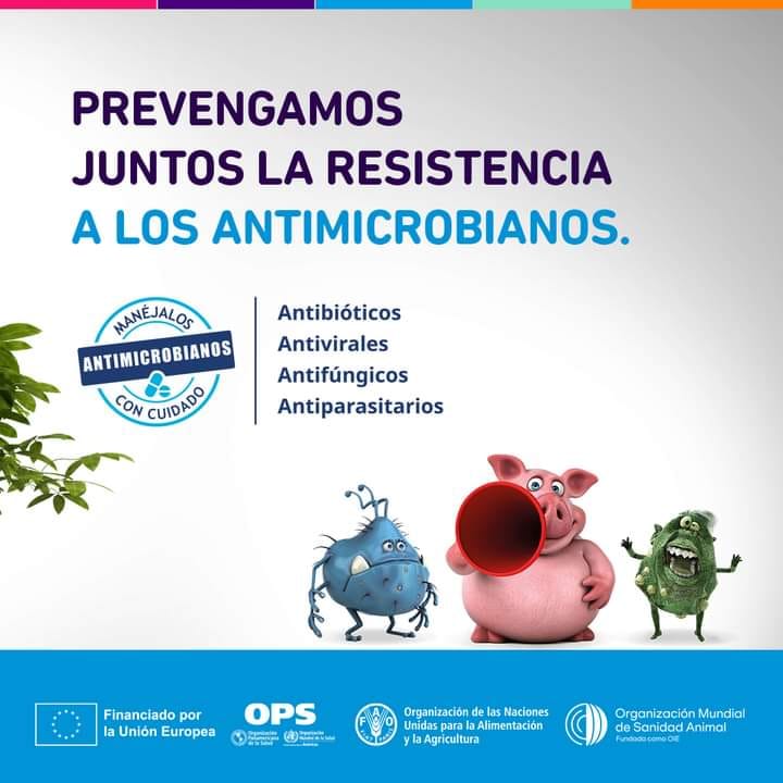 485054350_1573892386876676_7260869553279052654_n