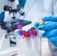 485056185_970150041970532_8207943448827431707_n