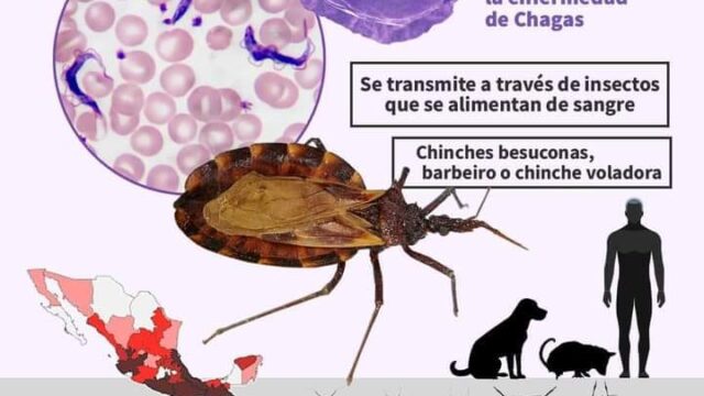 485907403_1580205636245351_3831501521936769983_n