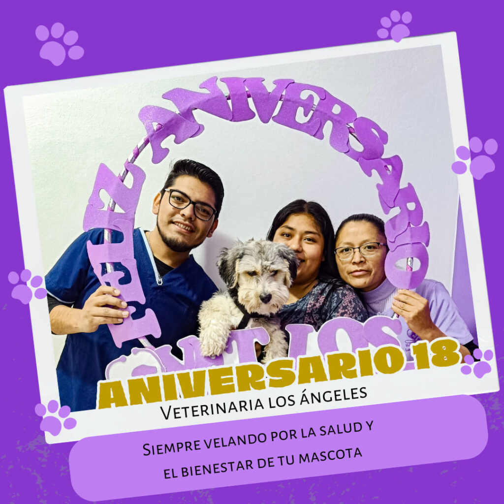 486386764_991848606391553_8999207602199126786_n