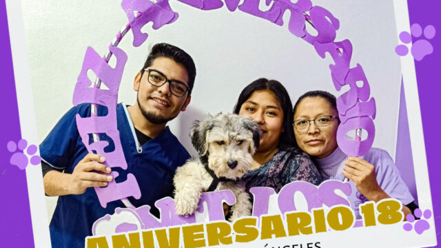 486386764_991848606391553_8999207602199126786_n