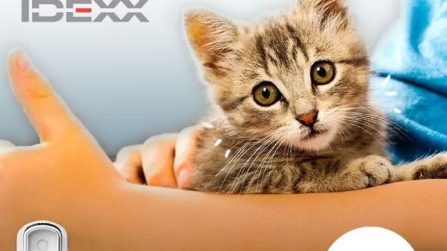 486451441_1113711294101734_8111011378957492157_n