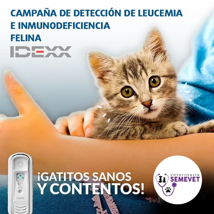 486451441_1113711294101734_8111011378957492157_n