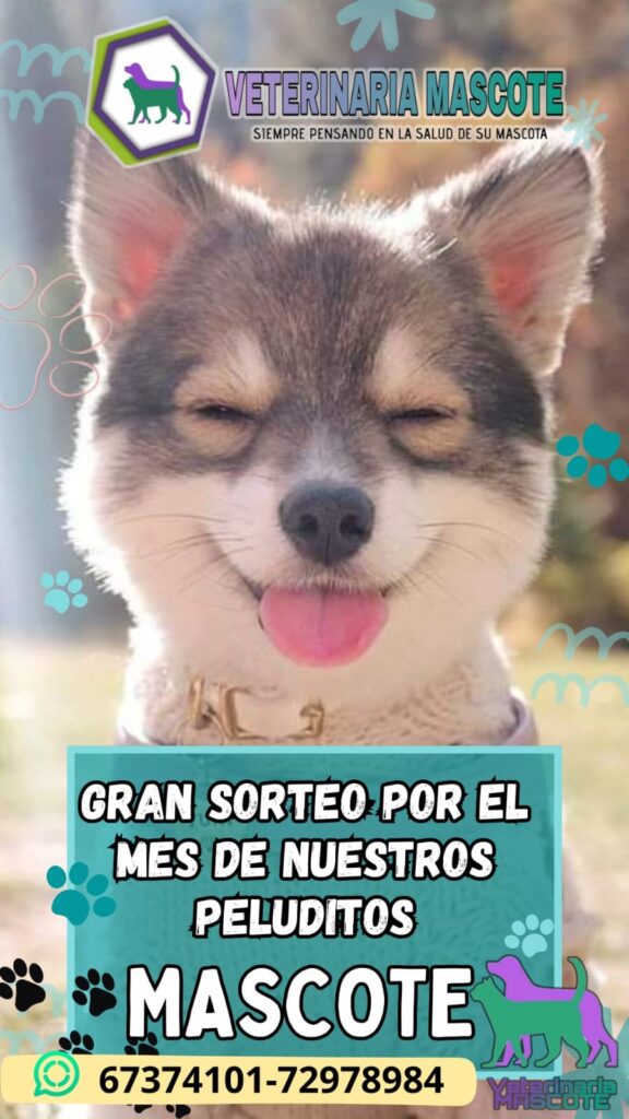 487516968_1352682929137470_3236955227710602406_n