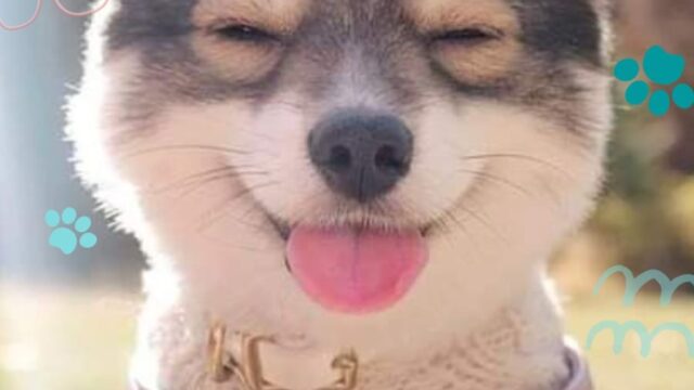 487516968_1352682929137470_3236955227710602406_n