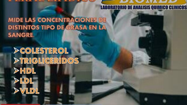 487548432_983013144017555_6129956163041397243_n