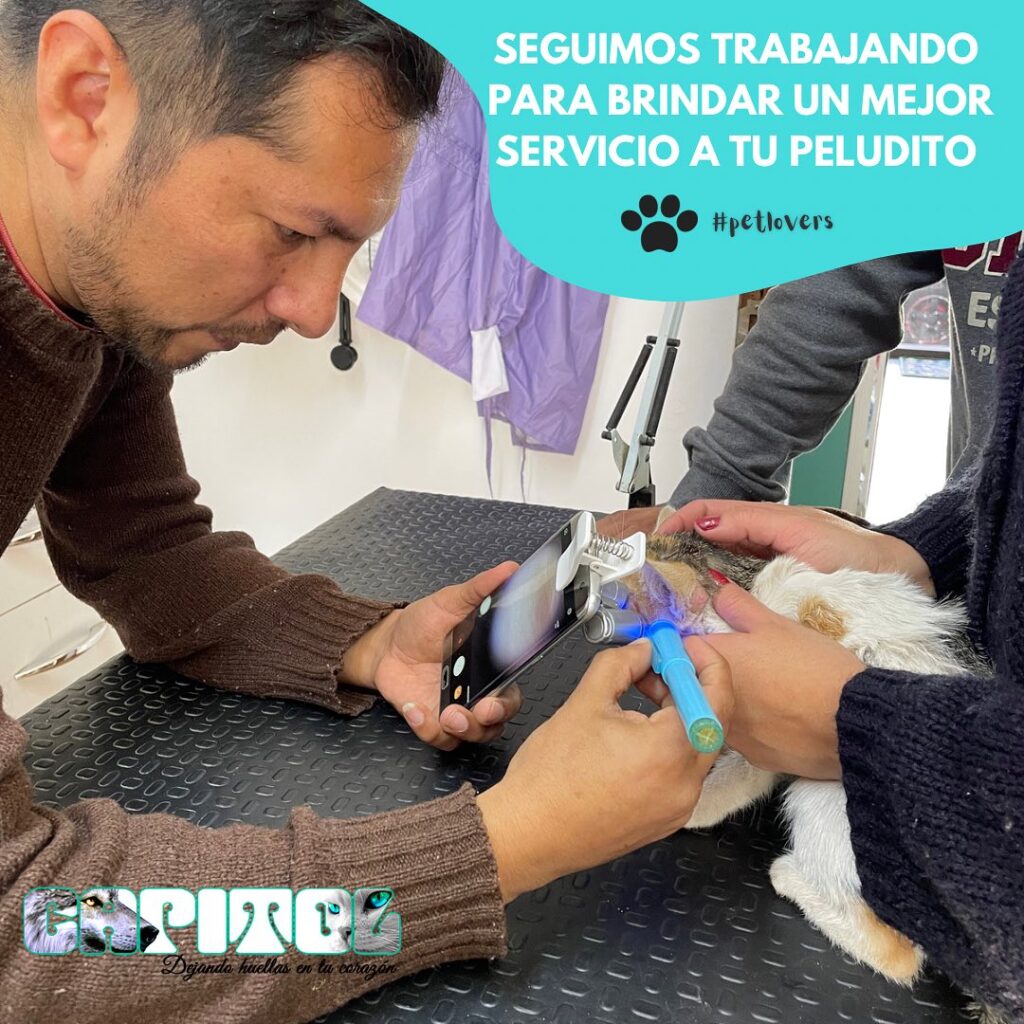 488483683_9501143806666305_7205877028527229582_n