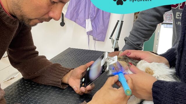 488483683_9501143806666305_7205877028527229582_n